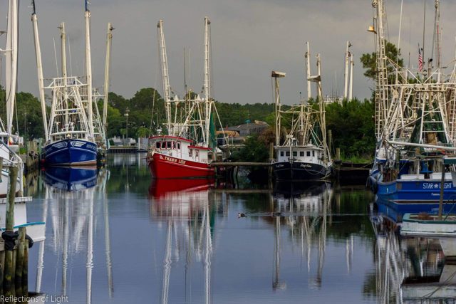 Marina reflections