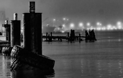 Fog pylons, black-and-white