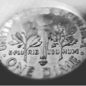 Penny macro, black-and-white