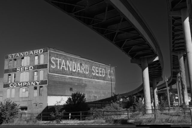Standard Seed, wider arch view
