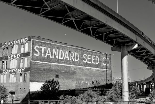 Standard Seed beneath the steel span