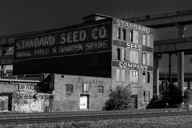 Standard Seed facade in shadow